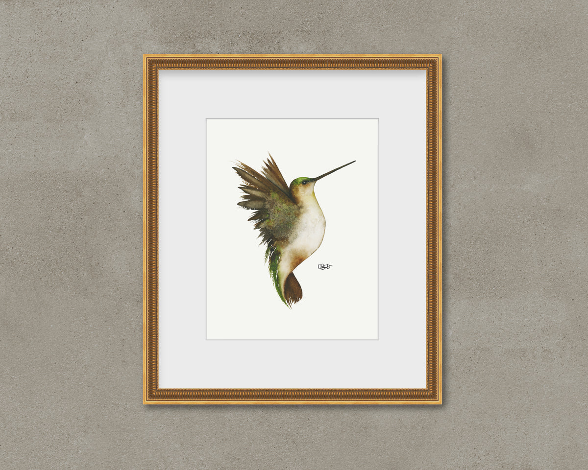 Evermore II - Hummingbird Fine Art Print