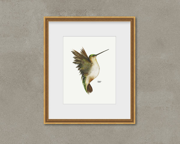Evermore II - Hummingbird Fine Art Print