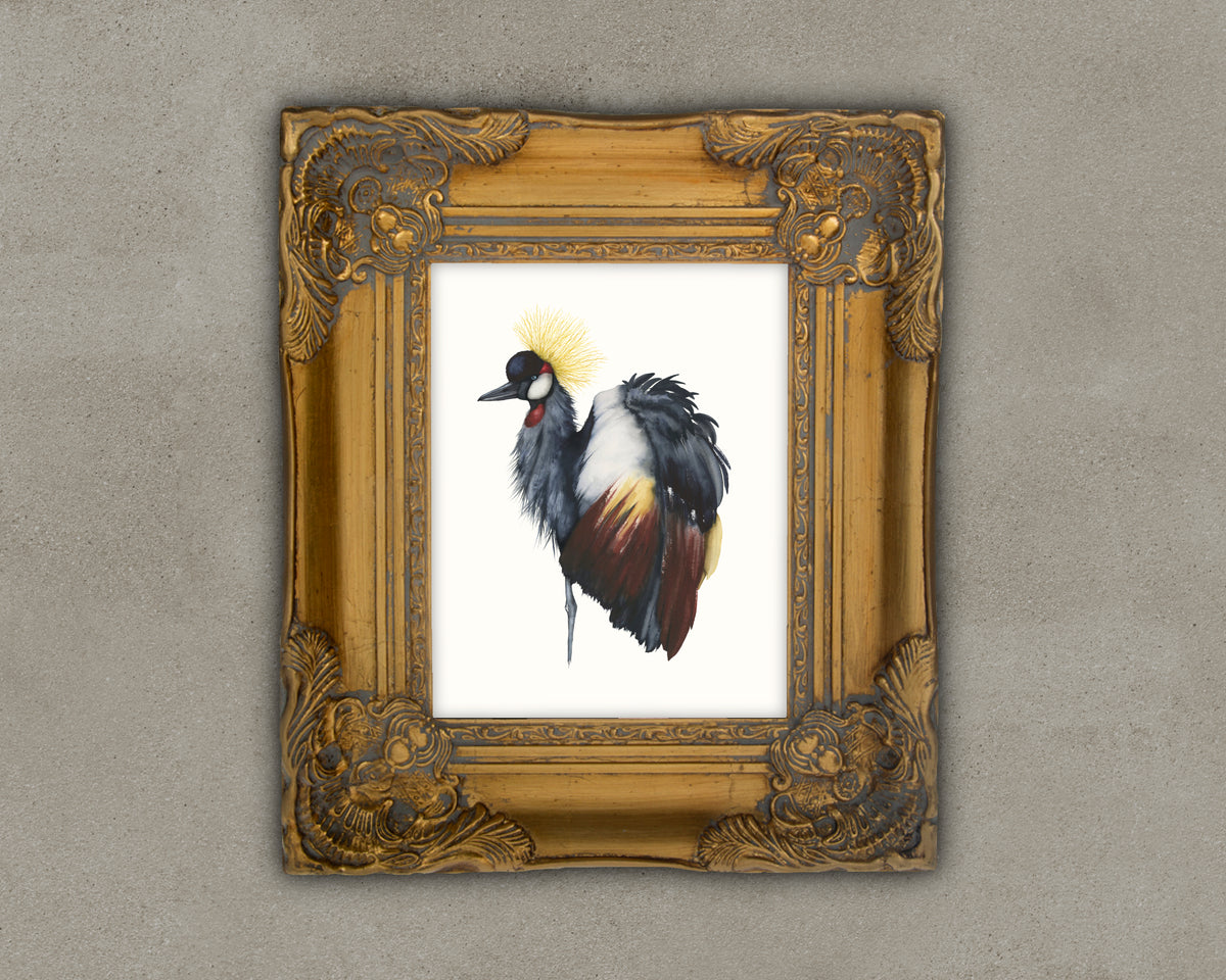 Fancy, Don't Let Me Down - Grey Crowned Crane Fine Art Print