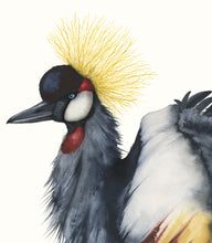 Load image into Gallery viewer, “Fancy, Don&#39;t Let Me Down” Fine Art Print - Grey Crowned Crane (2021)
