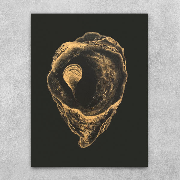 Golden Midnight - Gold Oyster Fine Art Print