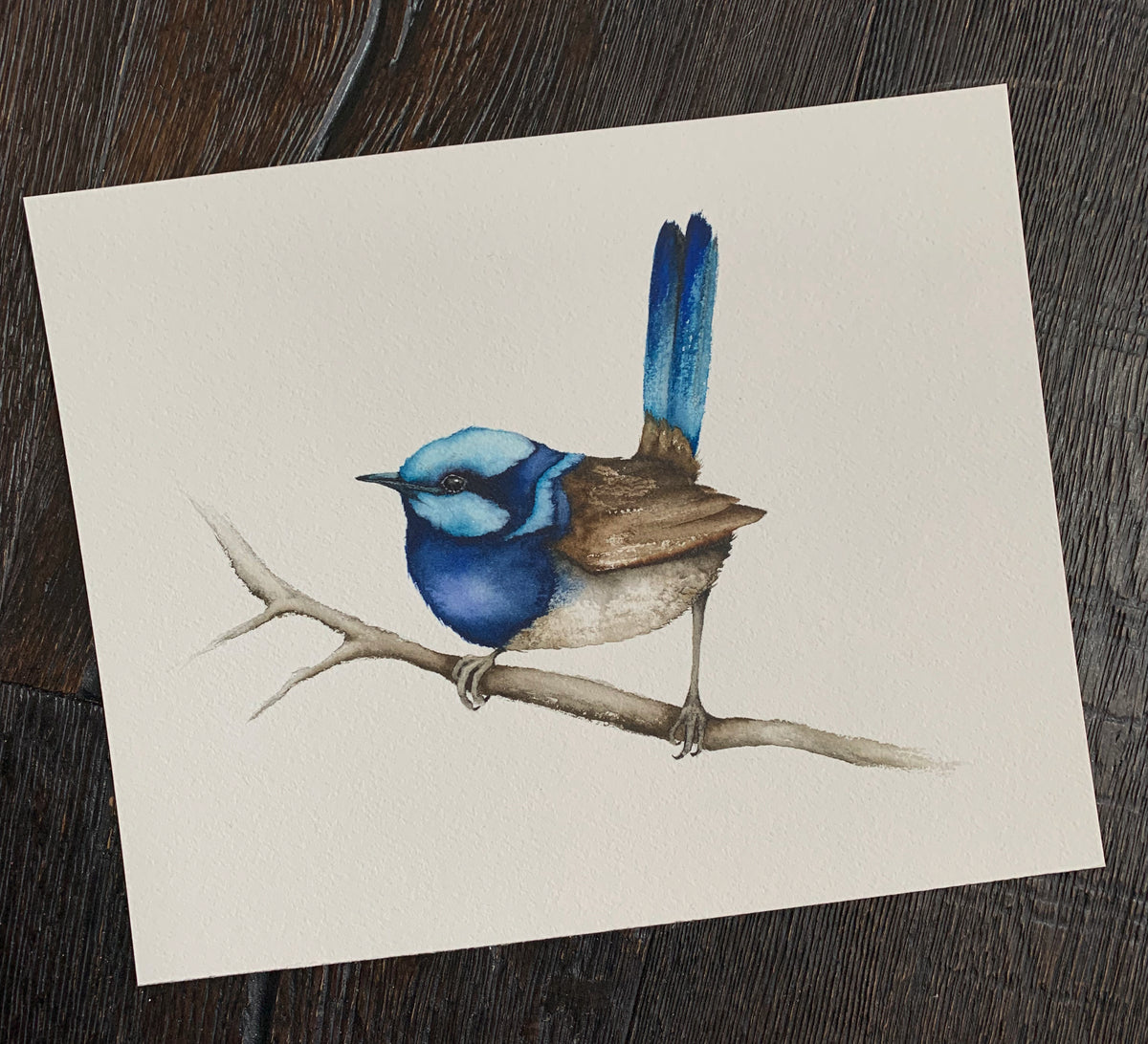 If I Was a Bluebird - Fairy Wren Original Watercolor, 10x8.25