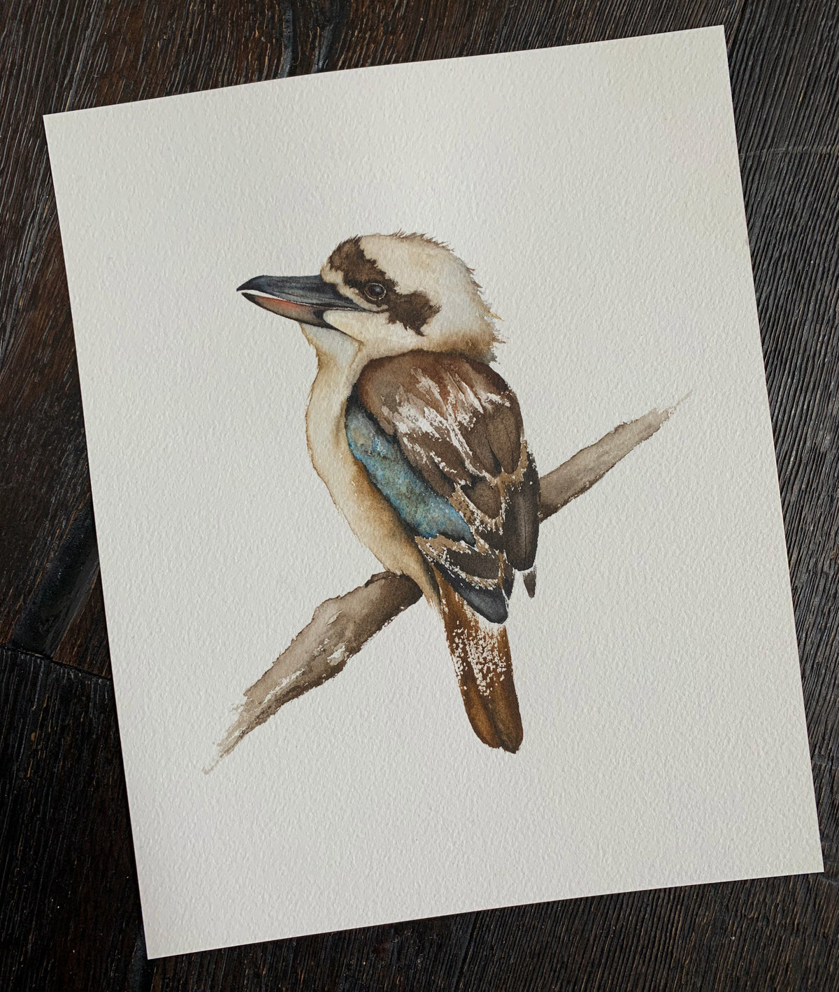 Joyous - Kookaburra Original Watercolor, 8.25x10