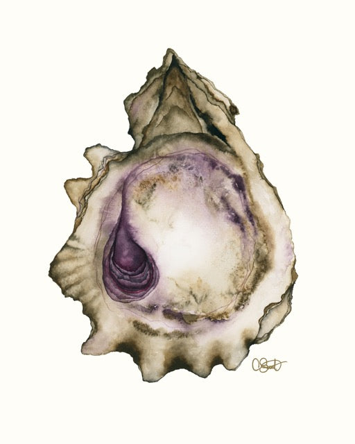 Lilac & Earth - Oyster Fine Art Print