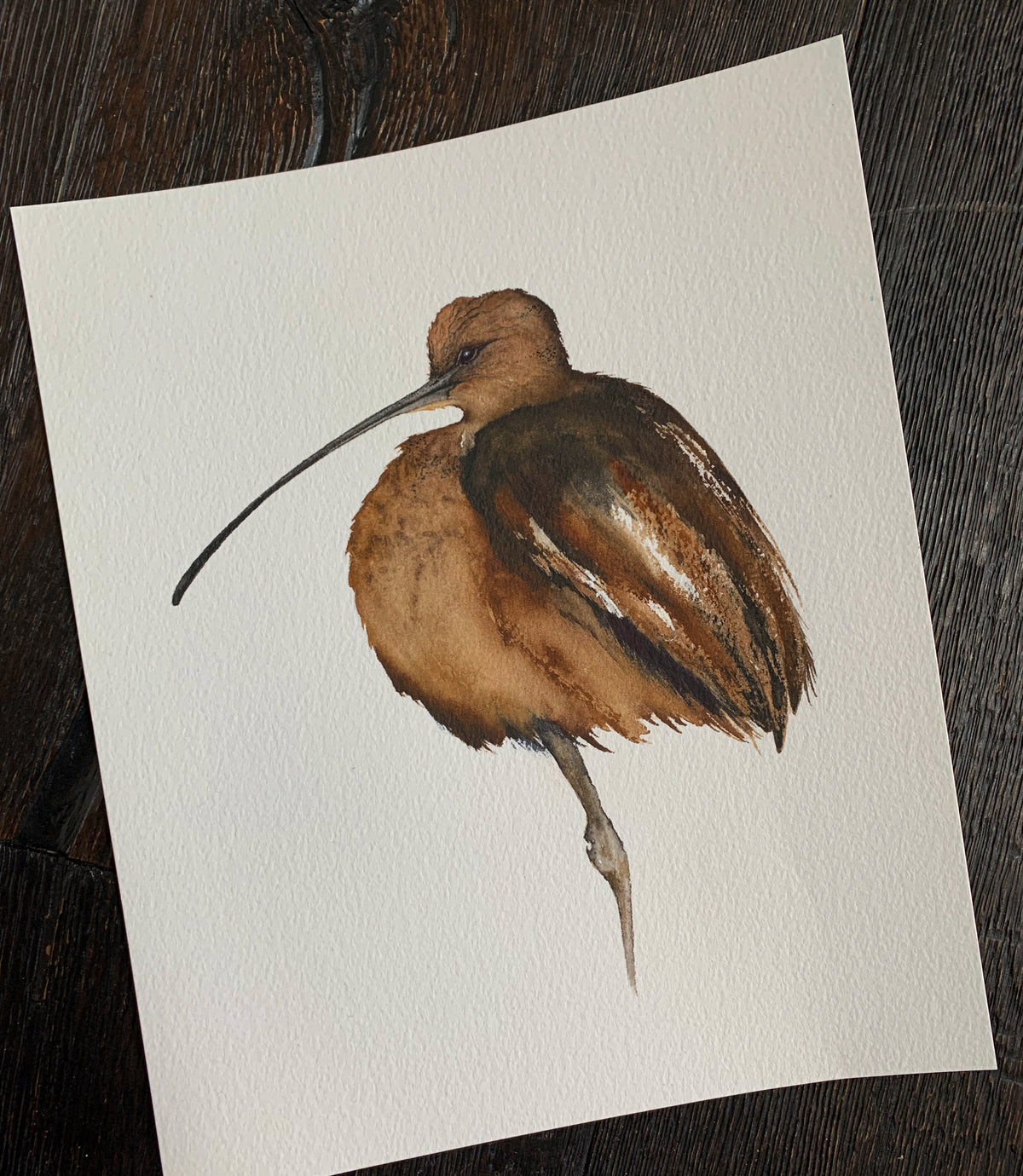 Little Red - Curlew Original Watercolor, 8.25x10