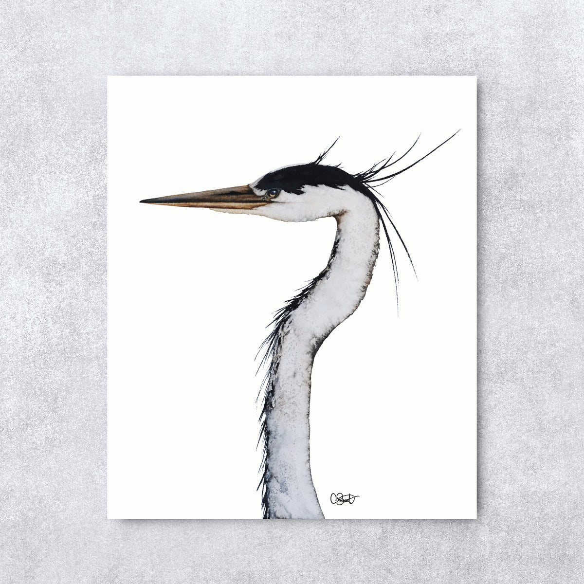 Longneck Bottle - Great Blue Heron Fine Art Print