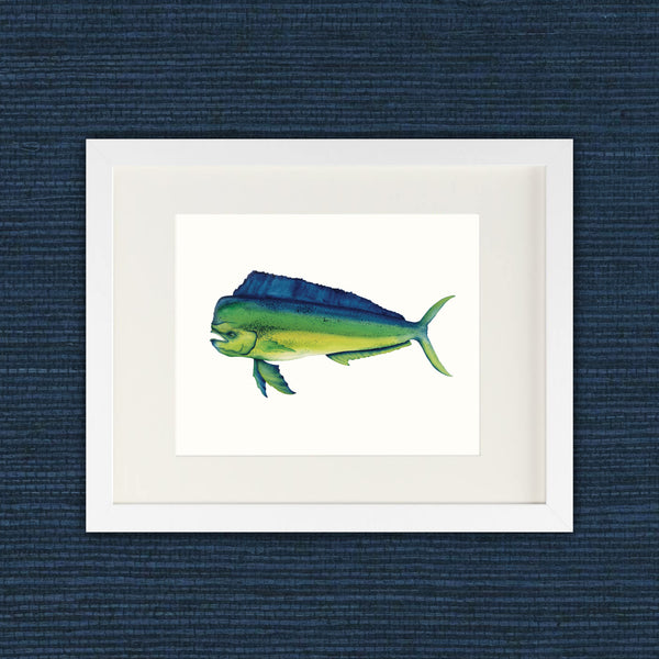 Mahi Mah - Mahi Mahi Fine Art Print