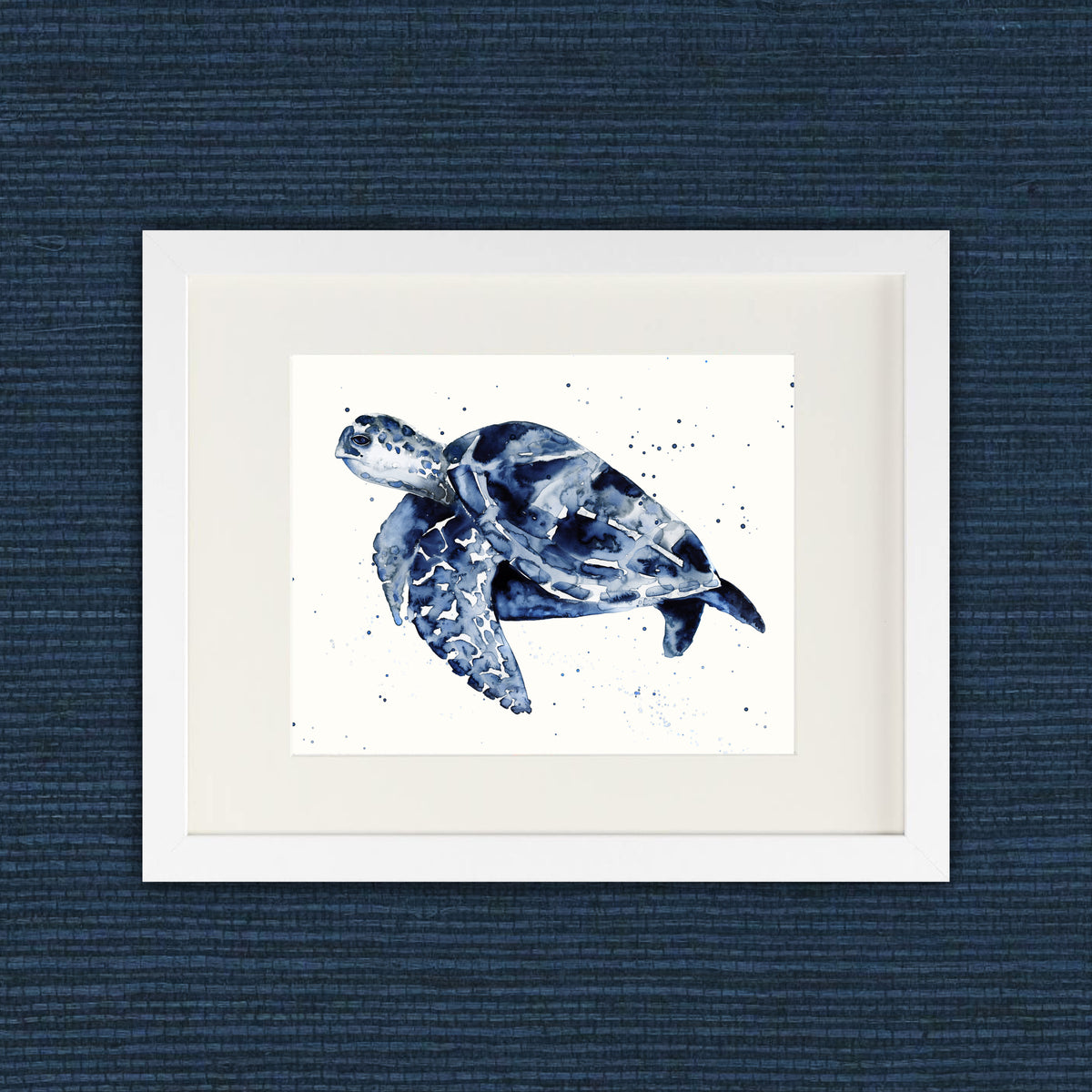 Midnight - Sea Turtle Fine Art Print