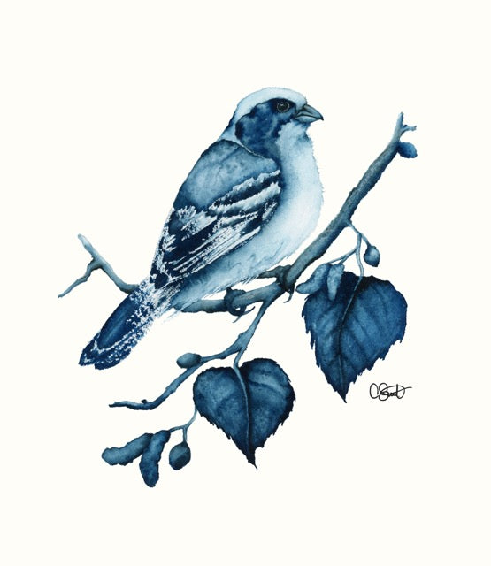 Moonlight - Sparrow Fine Art Print