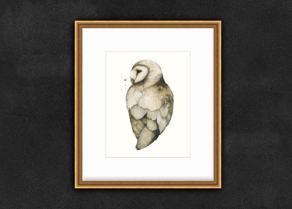 New Mercies - Barn Owl Fine Art Print