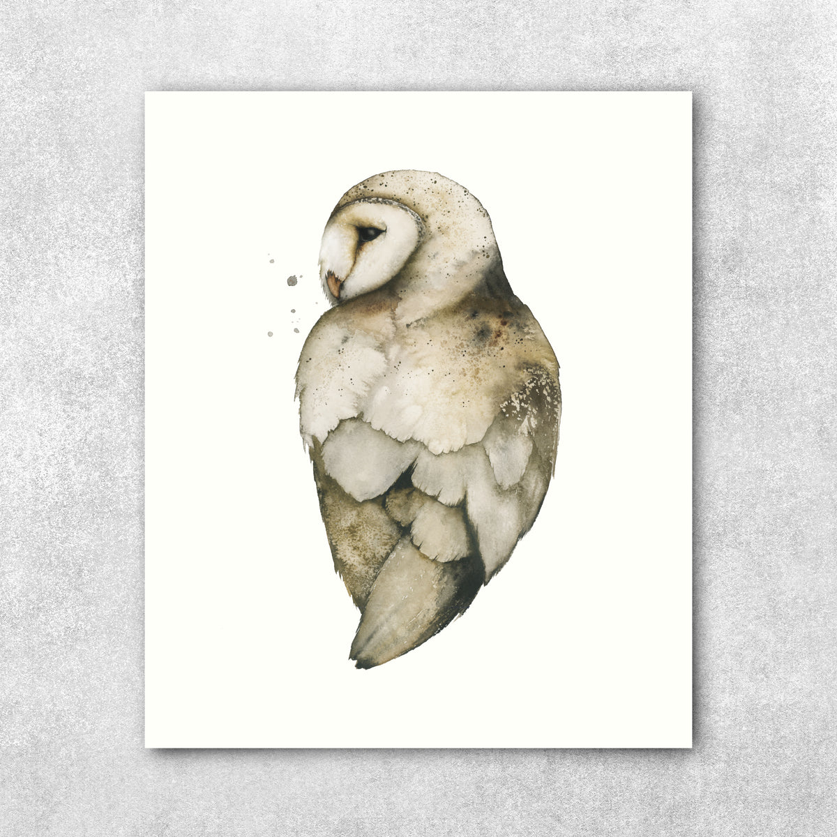 New Mercies - Barn Owl Fine Art Print