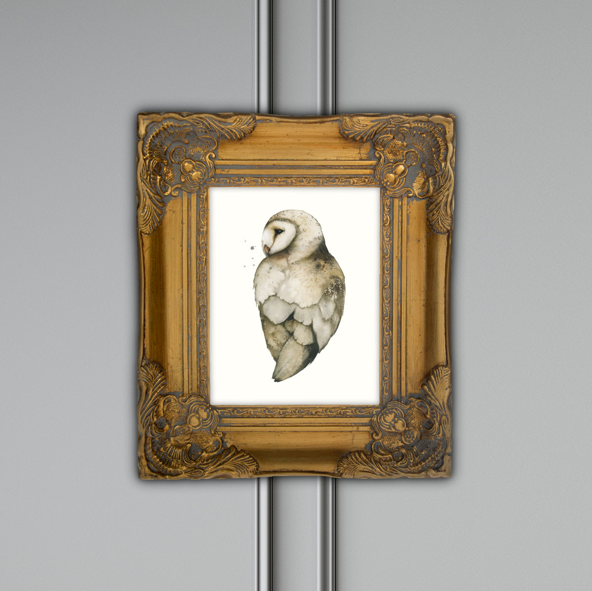 New Mercies - Barn Owl Fine Art Print