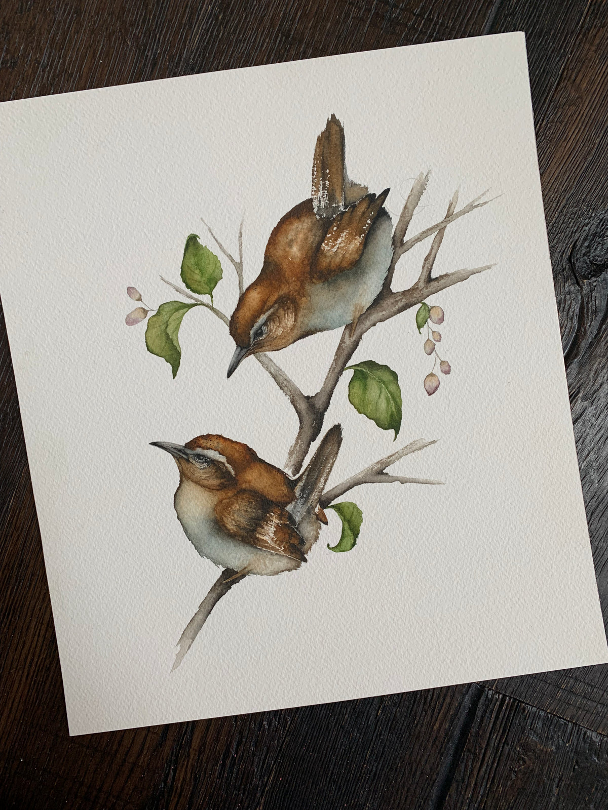 Ollie & Wren - Wrens Original Watercolor, 11.5x13.25