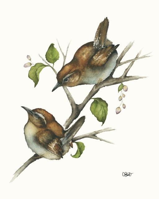 Ollie & Wren - Wrens Fine Art Print