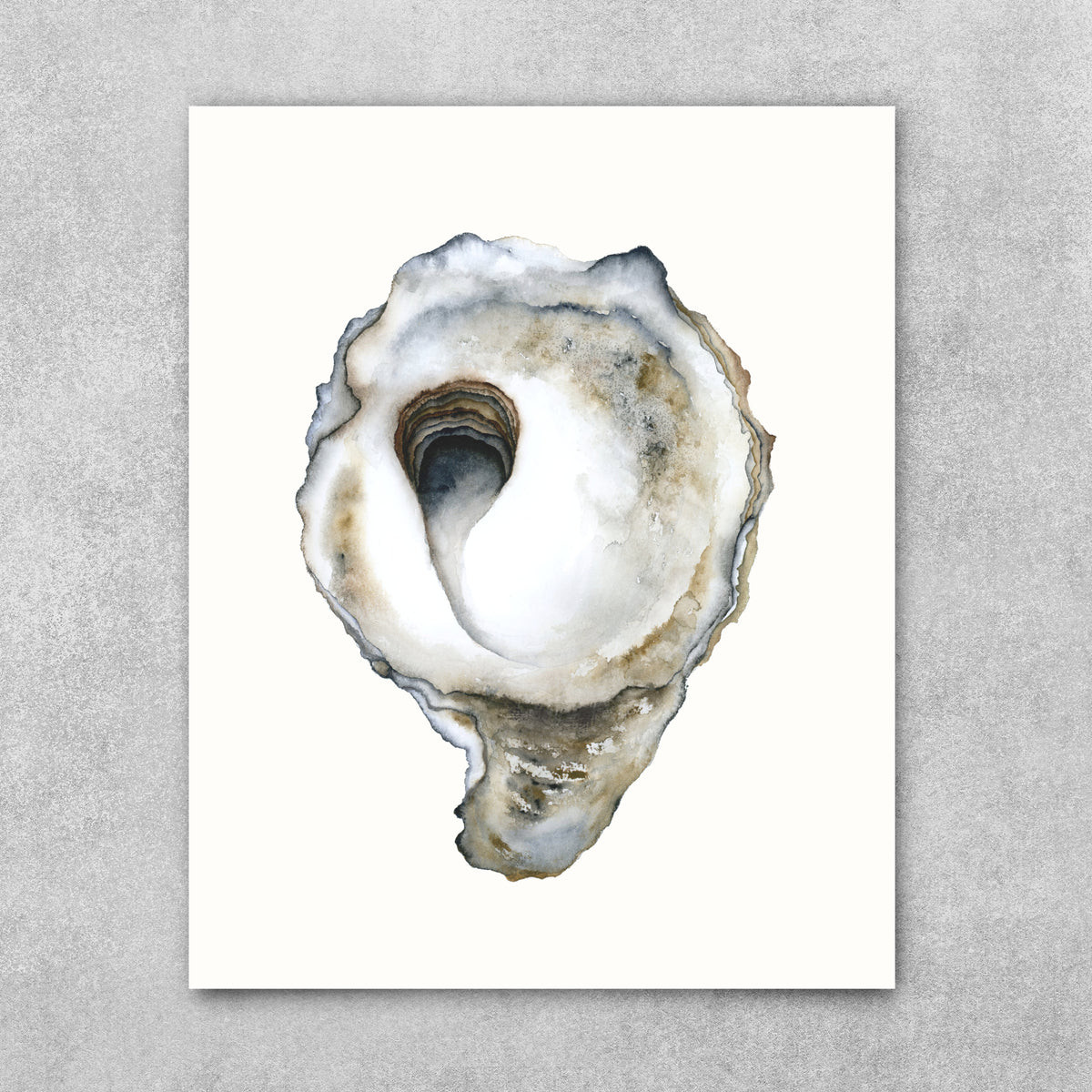 Salt of the Earth - Oyster Fine Art Print