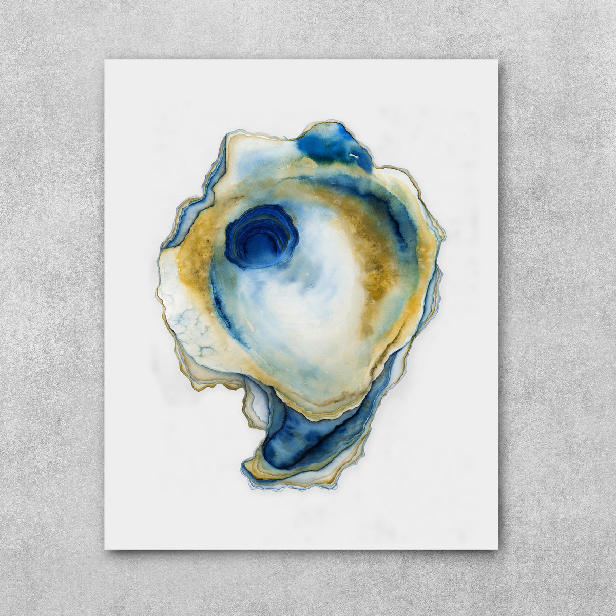 Savi Blue - Oyster Fine Art Print