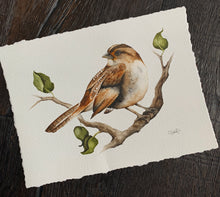 Load image into Gallery viewer, &quot;Serendipity&quot; ORIGINAL Watercolor Sparrow 9.75x7.25 (2022)
