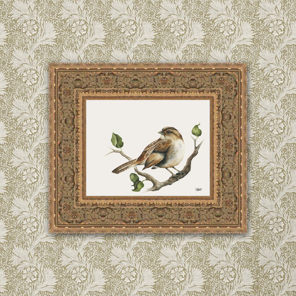 Serendipity - Sparrow Fine Art Print