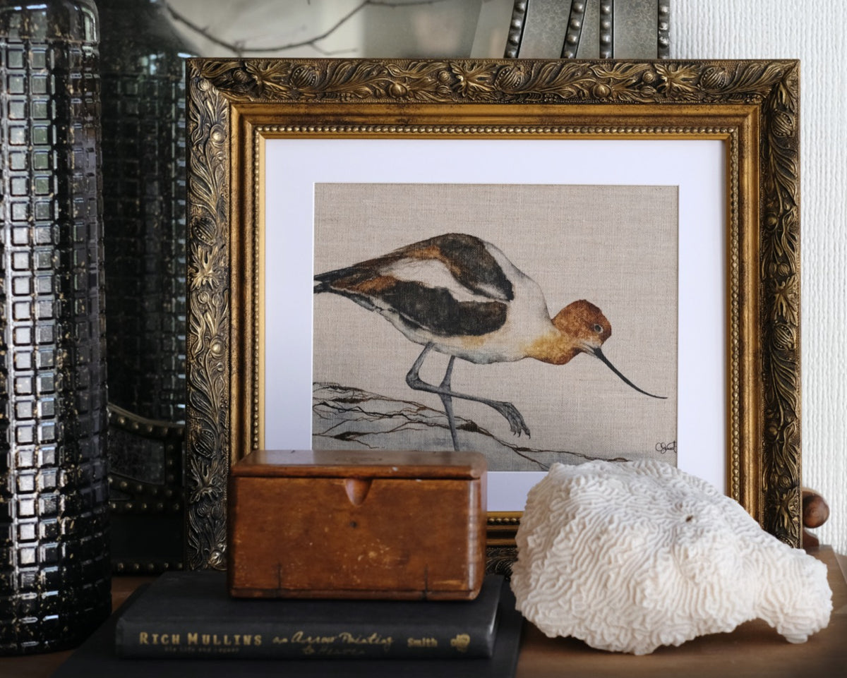 Shoreline Dancer - Avocet Linen Canvas Print