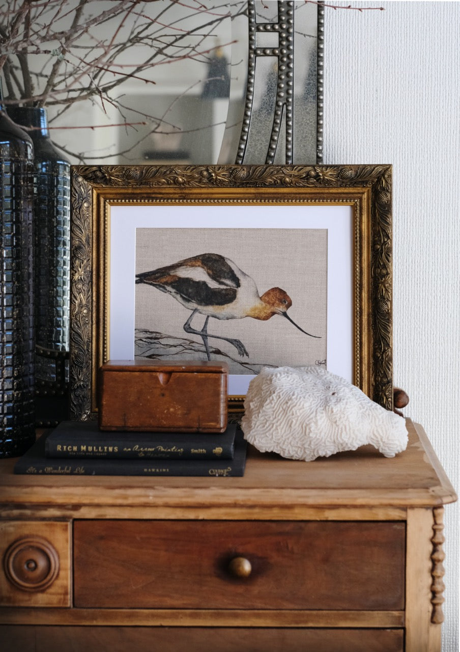 Shoreline Dancer - Avocet Linen Canvas Print