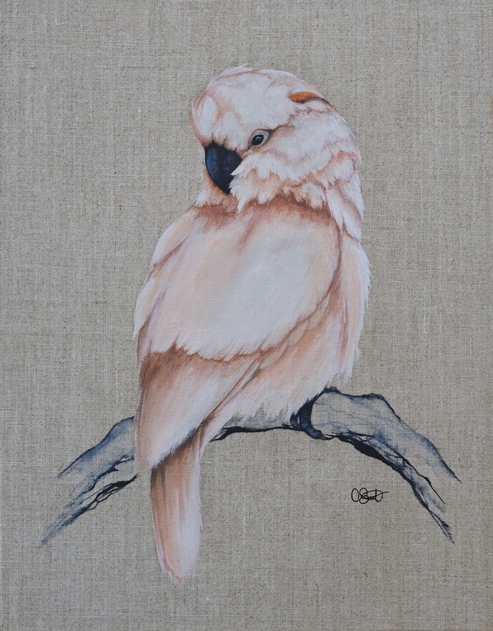 So, This Is Love - Cockatoo Linen Canvas Print
