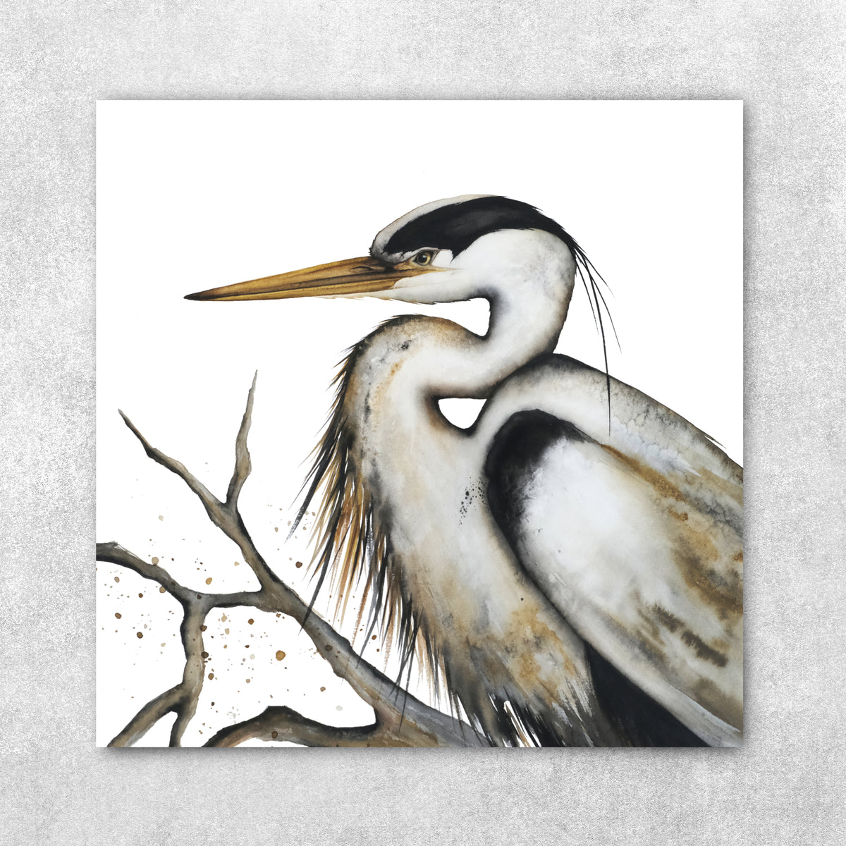 Still I Rise II - Great Blue Heron Fine Art Print
