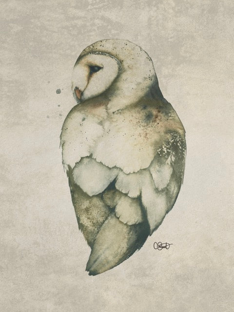 Stone New Mercies - Barn Owl Fine Art Print