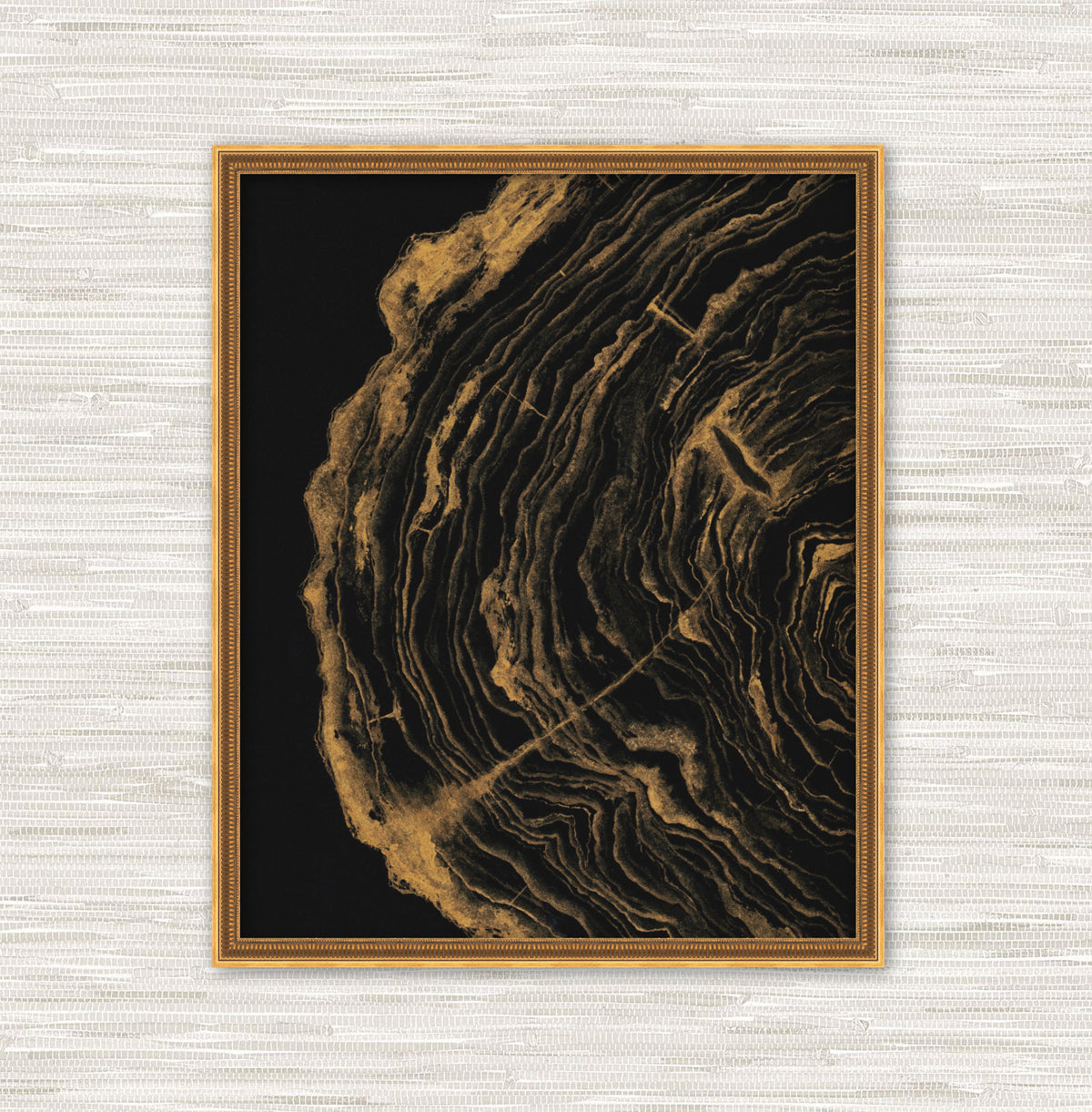 The Stories She Could Tell - Gold Tree Rings Fine Art Print