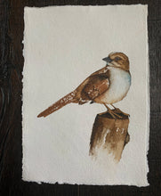 Load image into Gallery viewer, &quot;Under Thy Care&quot; ORIGINAL Watercolor Sparrow 8.25x11.75 (2022)
