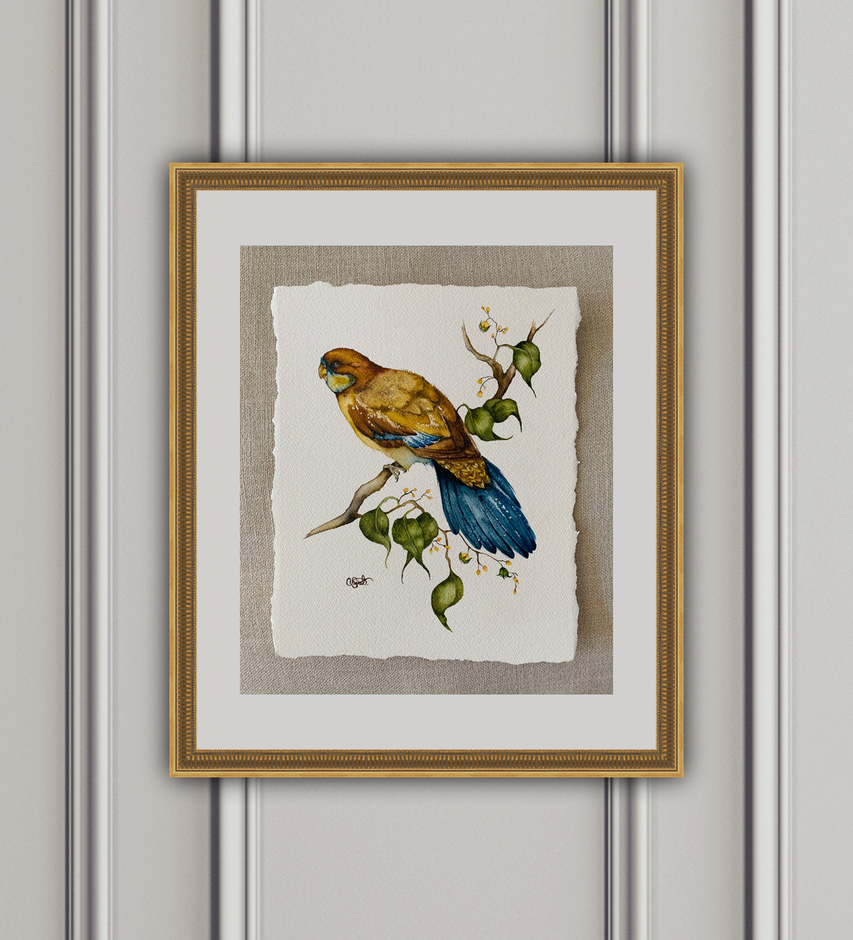 Warm November - Parrot Original Watercolor, 11x13