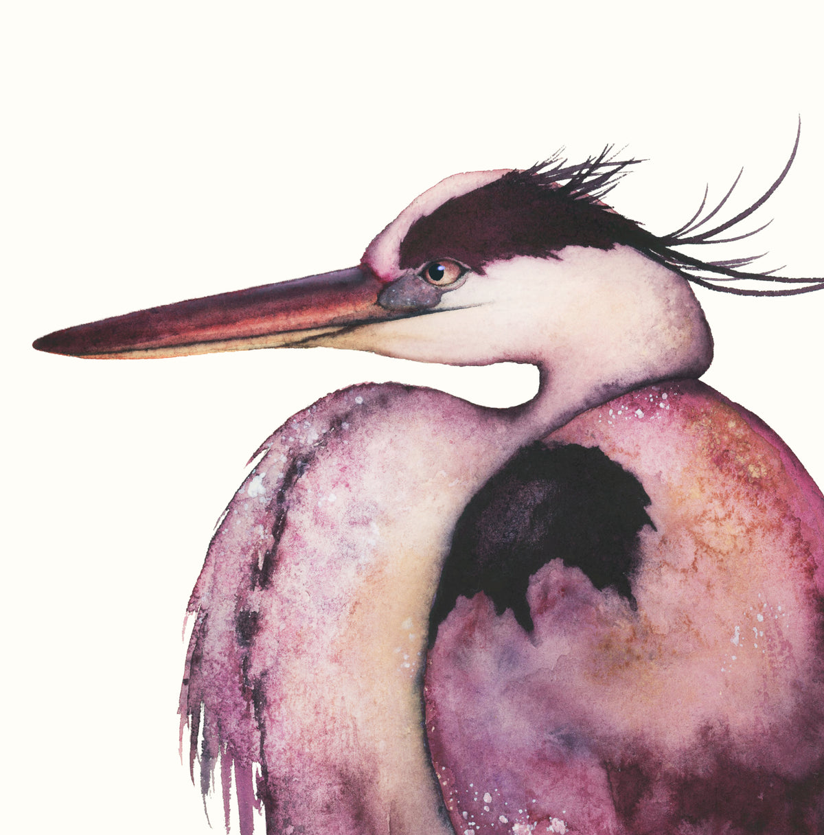 Wild Plumeria - Great Blue Heron Fine Art Print